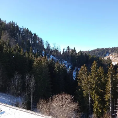 Appartement Dernier Etage Au Pied Des Pistes Hirmentaz Bellevaux Buitenkant foto