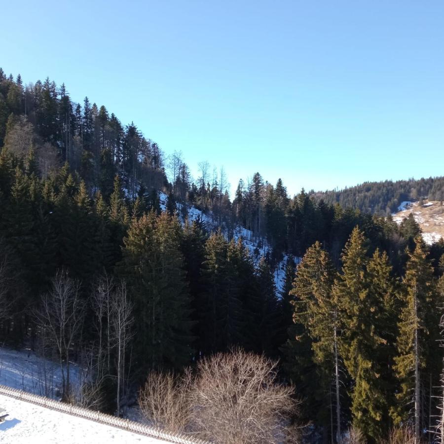 Appartement Dernier Etage Au Pied Des Pistes Hirmentaz